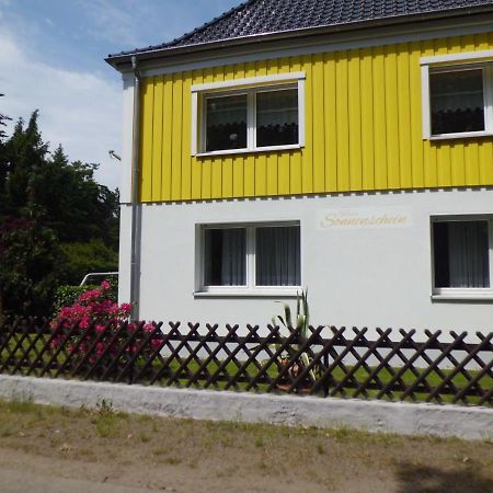 Ferienwohnung Im Haus Sonnenschein Beim Senftenberger See Hosena Esterno foto