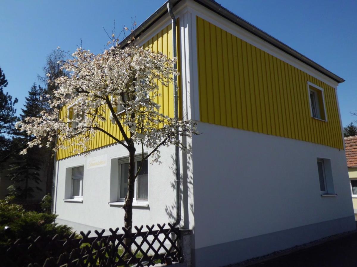 Ferienwohnung Im Haus Sonnenschein Beim Senftenberger See Hosena Esterno foto